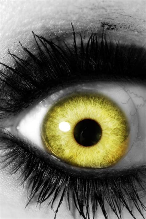 Intense Yellow Eye With Lashes By Lt Arts On Deviantart