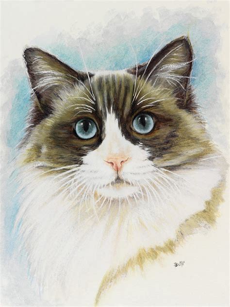 Ragdoll Portrait In Watercolor Painting By Barbara Keith Pixels Merch