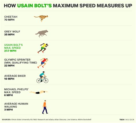 Heres How Usain Bolts Top Speed Compares To Michael Phelps A Cheetah