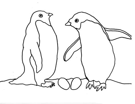 Gambar Mewarnai Pinguin Untuk Anak PAUD dan TK | Mewarnai Gambar
