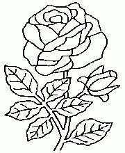 Vizitează articolul pentru mai multe informații. Flori-Trandafiri de colorat | Rose coloring pages, Flower ...