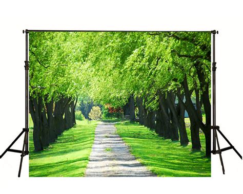 Scenic Background Trees Parks Woodland Backdrops Leaf Backdrop Zj X81