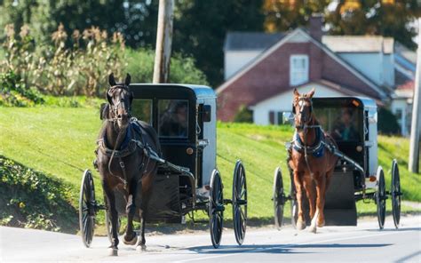 5 fun ways to experience amish country in lancaster pa