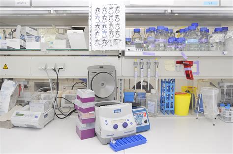 Lab And Equipment