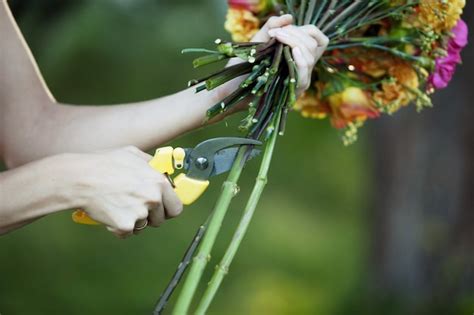 Premium Photo Florist Cutting Flowers Stems Closeup Of Female Hand