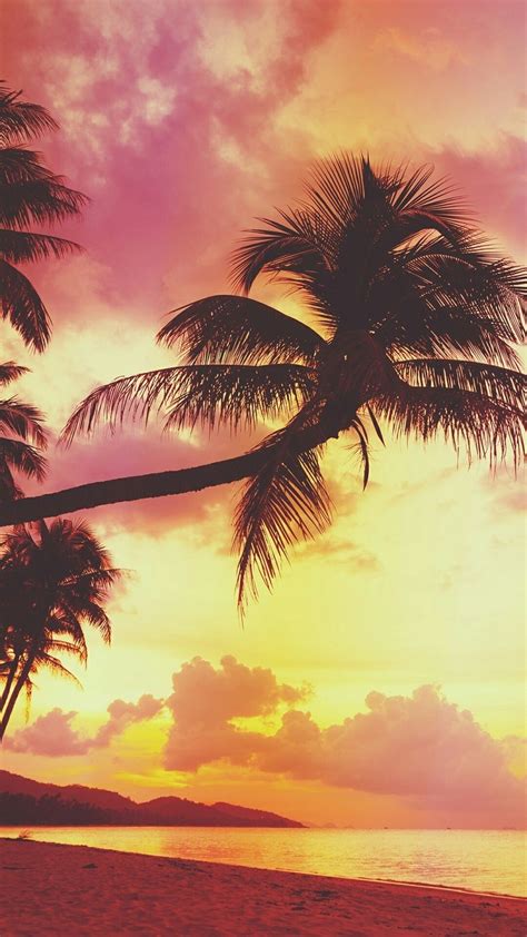 Summer Sunset Vibes Wallpapers Wallpaper Cave