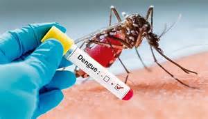 The disease is prevalent in the caribbean, central america, and south central asia. Dengue fever outbreak in Latin America video - Strange Sounds
