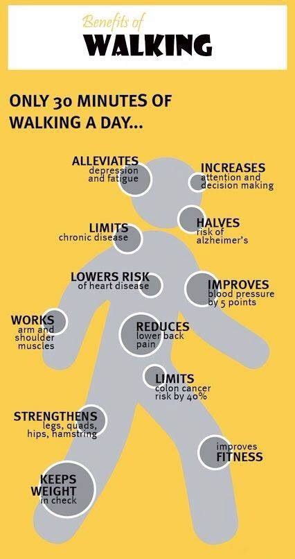 Walking 30 Minutes A Day The Benefits How To Stay Healthy Health