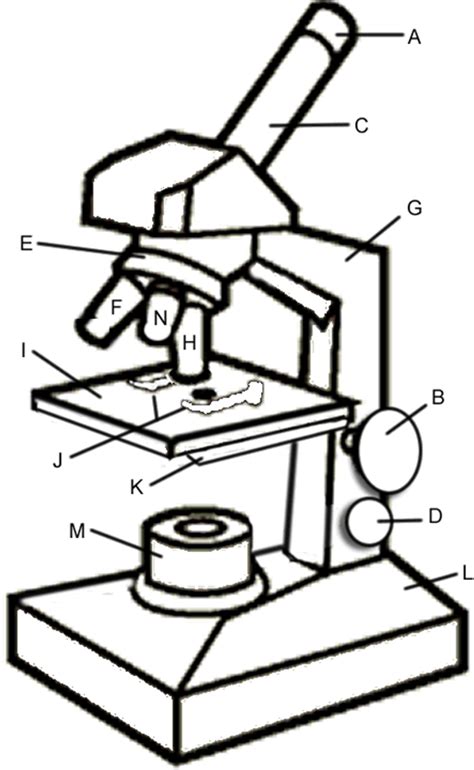 Simple Microscope Drawing At Getdrawings Free Download