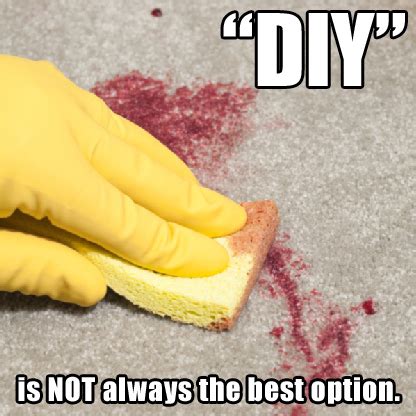 The arrival of party times! Friday Funnies: Carpet Cleaning Memes! - ServiceMonster