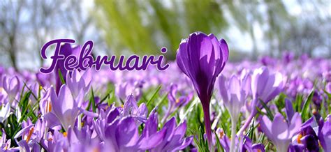 Tuinkalender Van Februari Wat Te Doen In Februari Tuinkeur