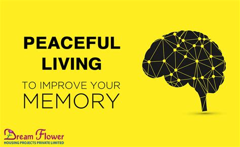 Proven Ways To Improve Or Boost Your Memory Dreamflower