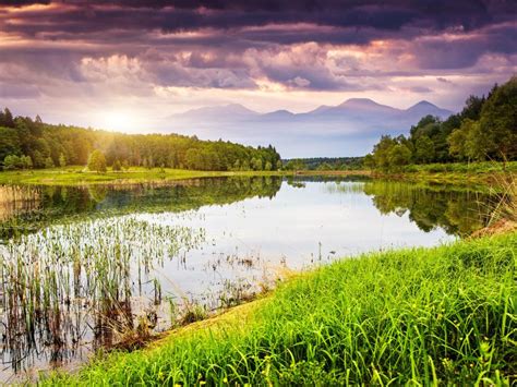 Nature Landscape Lake Water Grass Trees Mountains