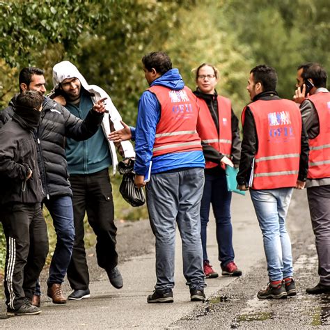 Migrants : un guide d'intégration pour aider les réfugiés ...