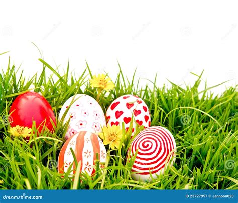 Easter Eggs With Flower On Fresh Green Grass Stock Image Image Of