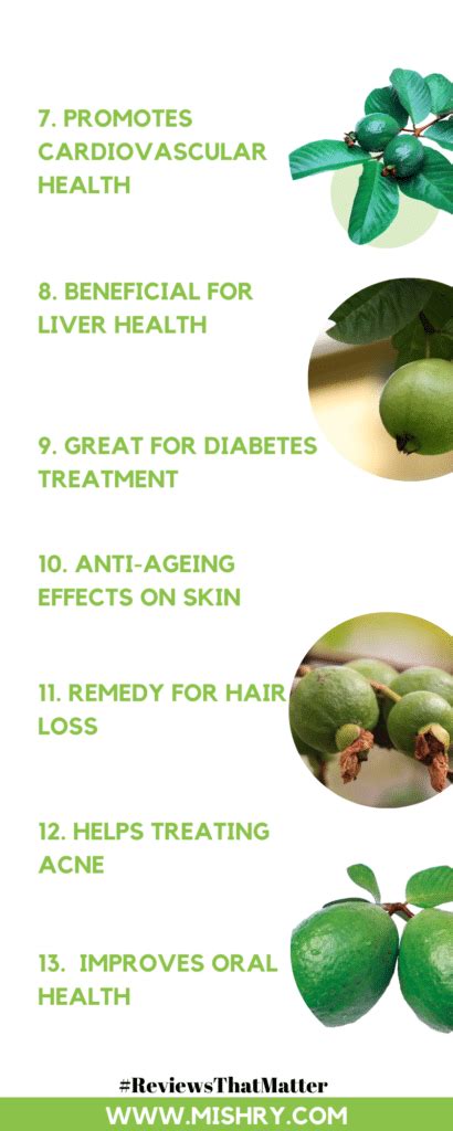 Health benefits of jackfruit seeds ]. Benefits Of Guava Leaves For Health And Beauty