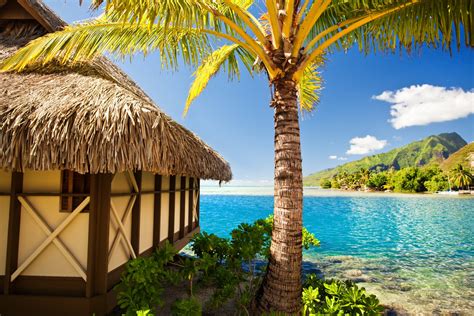 Tropical Paradise Beach Palms Sea Ocean Sunshine Summer Vacation Palm Tropics Hut Hd Wallpaper