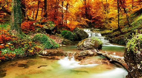 Fonds Decran Saison Automne Forêts Ruisseau Nature Télécharger Photo