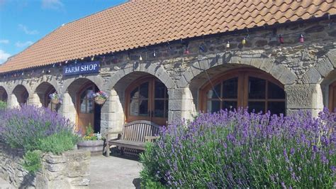 Farm Shop Broom House Farm Shop And T Shop