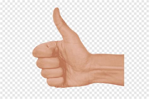 Thumb Signal Gesture Ok Hand Flyer Png Pngegg