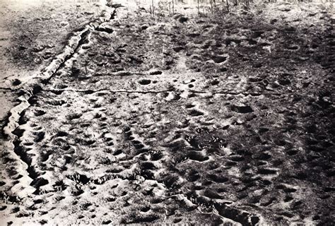 Aerial View Of Allied Soldiers In A Trench Among A Shell Cratered