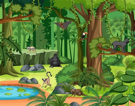 Escena De La Selva Tropical Con Varios Animales Salvajes 2764121