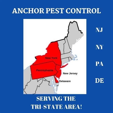 Anchor Pest Control Office Photos