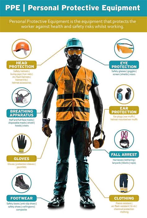 Personal Protective Equipment Ppe Diagram Quizlet