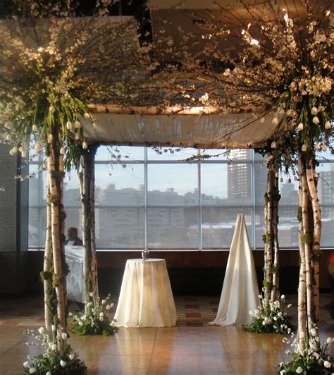Love This Birch Tree Branch Chuppah With Blossom And Tulips Chuppah