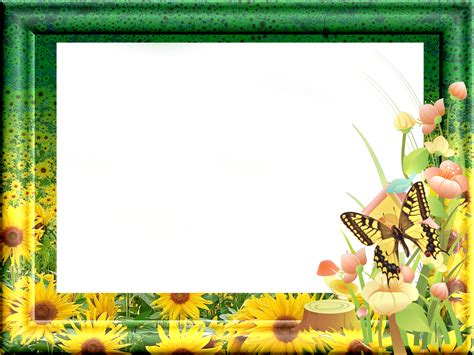 Green Transparent Frame With Sunflowers Flower Frame