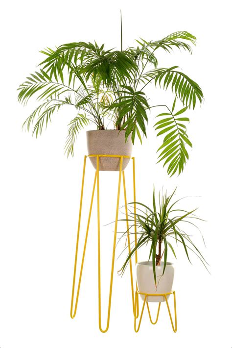 Plastic material looks like real even closed up. These 13 Modern Plant Stands Put Your Favorite Plants On ...