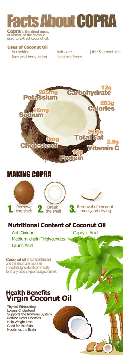 Beauty Behind Amber How To Produce Virgin Coconut Oil Copra
