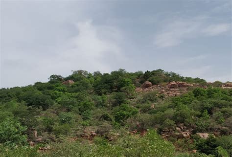 Putrajaya hospital is a modern hospital that serves to give high quality care and hospitality to its patients through involvement in the community and excellent processes in a conducive environment thanks to its competent and. Sreemitra Putrajaya Heights Residential plot at Kothaguda ...