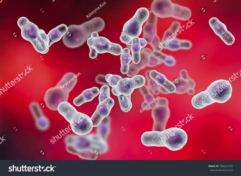 Clostridium Difficile Bacteria 3d Illustration Sporeforming 스톡 일러스트