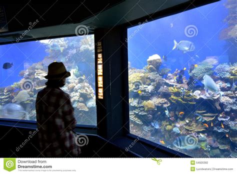 Coral World Underwater Observatory Aquarium In Eilat