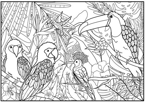 Coloring Pages Of Animals In Their Habitats Home Design Ideas