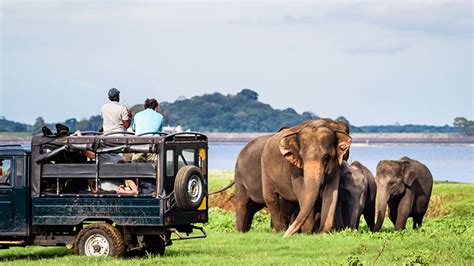 Sri Lanka Looks To Adventure Travel To Attract Quality Tourists And