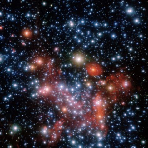 Discovering The Building Blocks Of Nuclear Star Clusters Aas Nova
