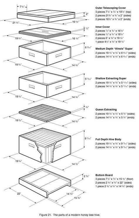 Langstroth Hive Dimensions Downloadable Free Plans Langstroth Hive