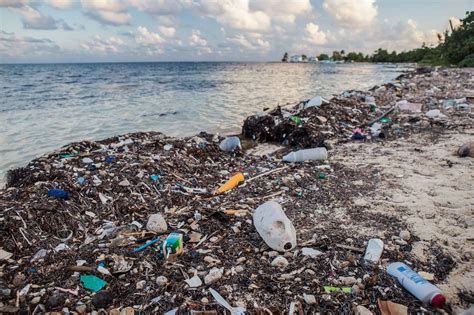 De Strijd Tegen Rietjes In Oceanen National Geographic Pollution