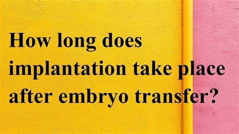 How Long Does Implantation Take Place After Embryo Transfer Meet