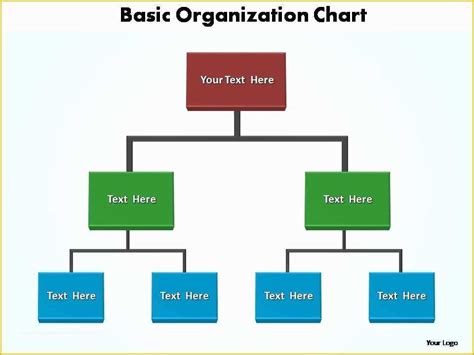 Hierarchy Chart Template Free Of Basic Organization Chart Editable