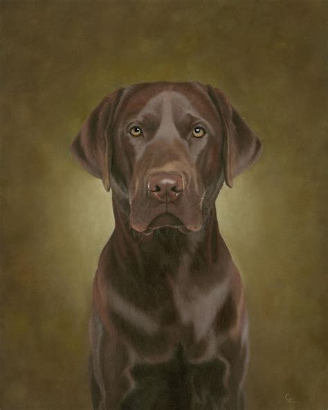 Chocolate Labrador Retriever Painting By Chad Turner