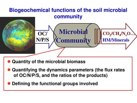 Ppt Dynamics In The Microbial Transformation Of Organic C In Soil