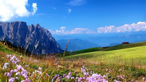 Mountains Meadows Flowers Valley The Sky Spring Tapety Na Plochu