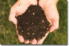 Cara membuat kompos mini dalam pasu#baja organik. KAUSAR KREATIF: Cara membuat baja kompos anda sendiri