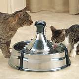 Pictures of Stainless Steel Drinking Fountain For Cats