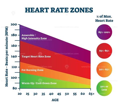Target Zone Heart Rate Definition Definition Vgf