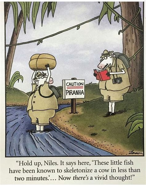 Pin By Sandy Ayres On Suddenlycows Far Side Cartoons Funny
