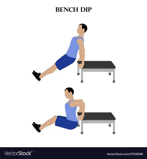 Bench Dip Exercise Strength Workout Royalty Free Vector